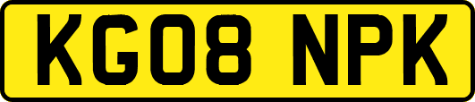KG08NPK