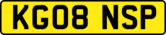 KG08NSP