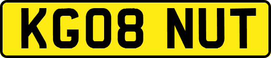KG08NUT