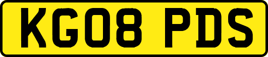 KG08PDS