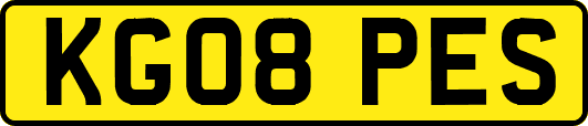KG08PES
