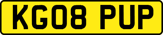 KG08PUP