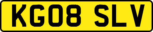 KG08SLV