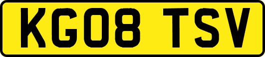 KG08TSV