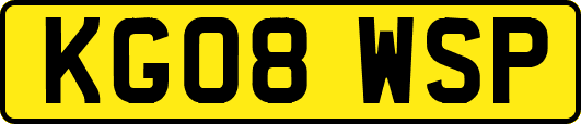KG08WSP