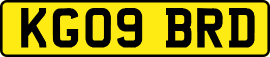 KG09BRD