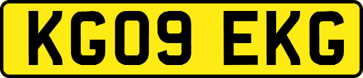 KG09EKG