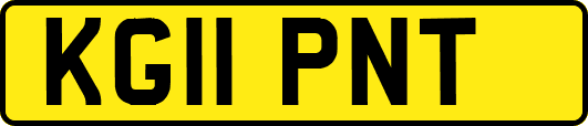 KG11PNT