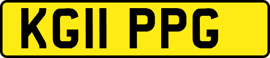 KG11PPG