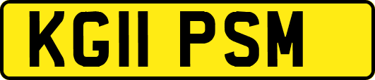 KG11PSM