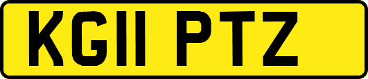 KG11PTZ