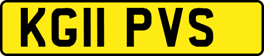 KG11PVS
