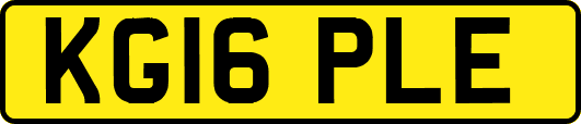 KG16PLE