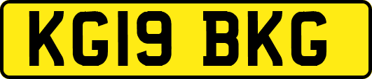 KG19BKG