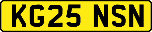 KG25NSN