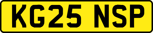 KG25NSP