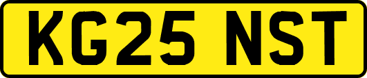 KG25NST