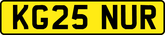 KG25NUR
