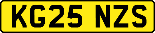 KG25NZS