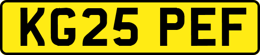 KG25PEF