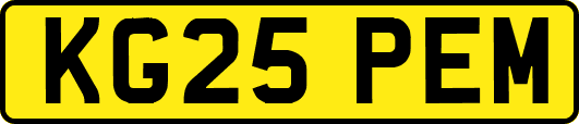 KG25PEM