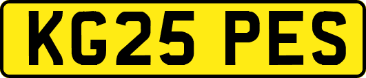KG25PES