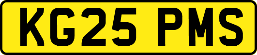 KG25PMS