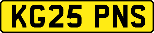 KG25PNS