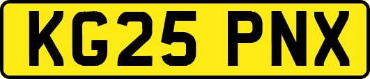 KG25PNX