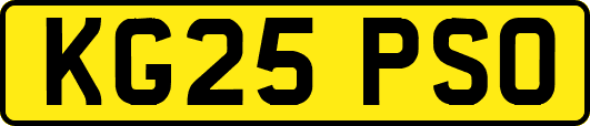 KG25PSO