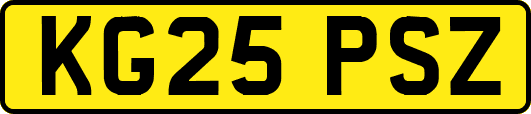 KG25PSZ