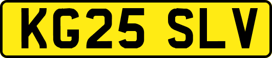 KG25SLV