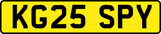 KG25SPY