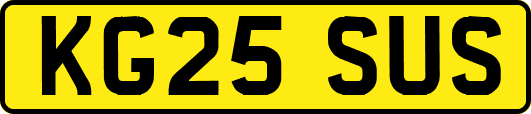 KG25SUS