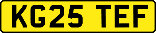 KG25TEF