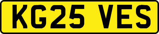 KG25VES