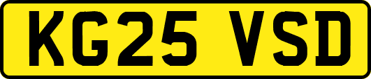 KG25VSD