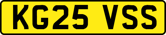 KG25VSS