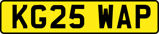 KG25WAP