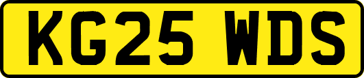 KG25WDS