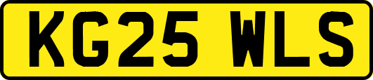KG25WLS