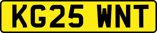 KG25WNT