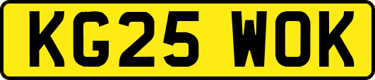 KG25WOK