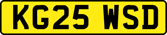 KG25WSD