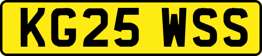 KG25WSS