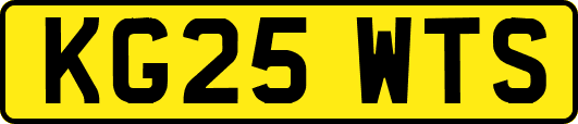 KG25WTS