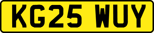 KG25WUY