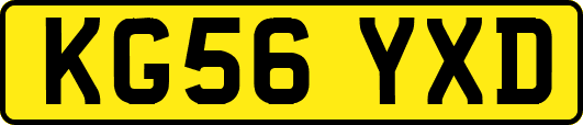 KG56YXD