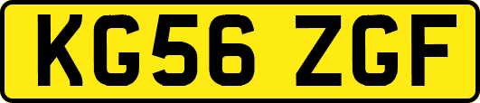 KG56ZGF