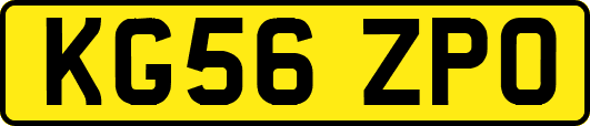 KG56ZPO